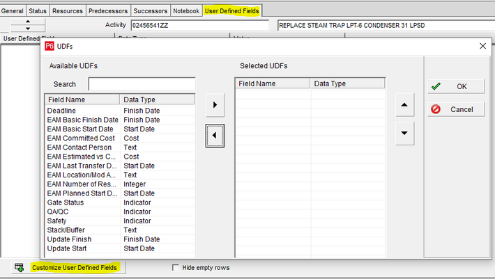 Primavera P6 user-defined fields tab is in workspaces