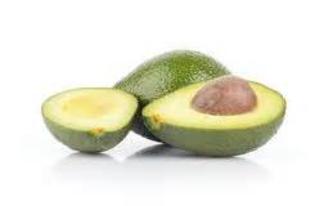 Avacado Fruit Tree Davie South Florida