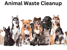 Animal Waste Cleaning services in Florida