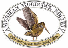 woodcock, upland bird hunting, pointing dogs