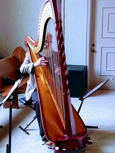 Steven Todd Miller, Harpist
