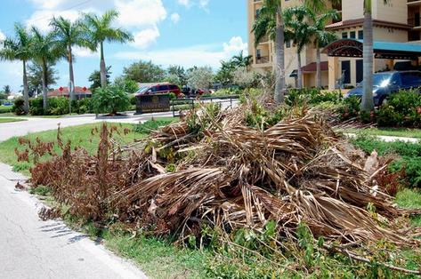 Great Residential Yard Waste Removal in Omaha NE | Omaha Junk Disposal