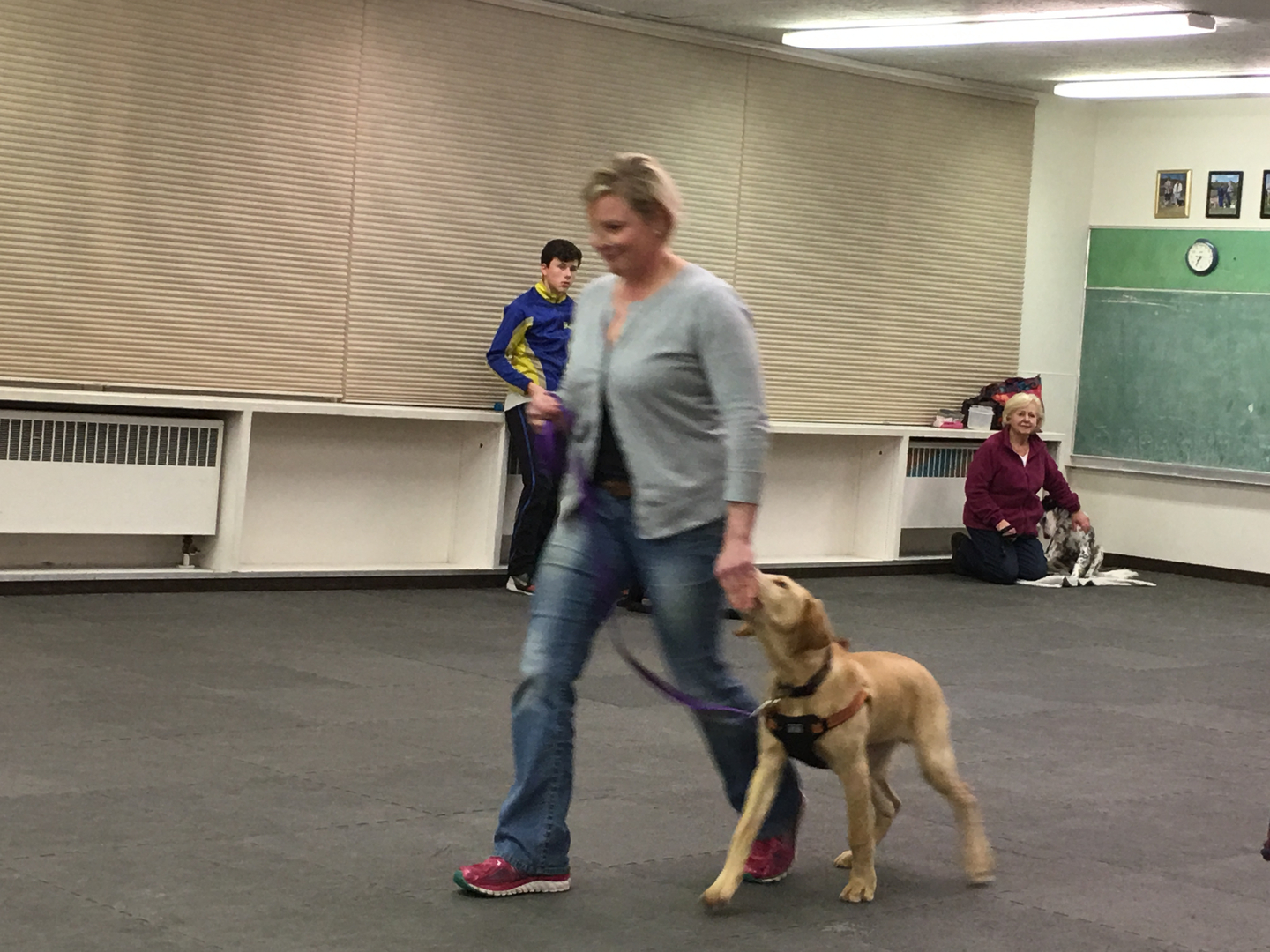 Obedience training sale club of chugiak