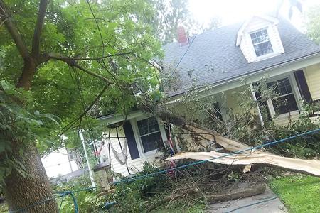 Best Fallen Tree Branch Removal in Lincoln NE LNK Junk Removal