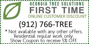 First Time Online Customer Discount by Georgia Tree Solutions