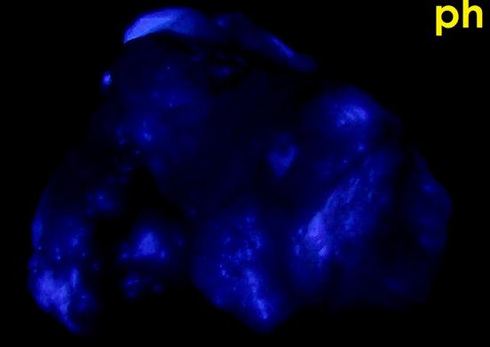 fluorescent phosphorescent Terlingua CALCITE, Terlingua, Terlingua Mining District, Brewster County, Texas, USA - ex Richard Eisenman "Highland Rocks"