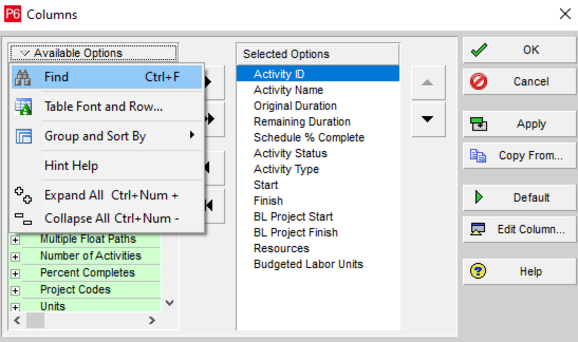 Go to Columns Primavera P6 option and select find