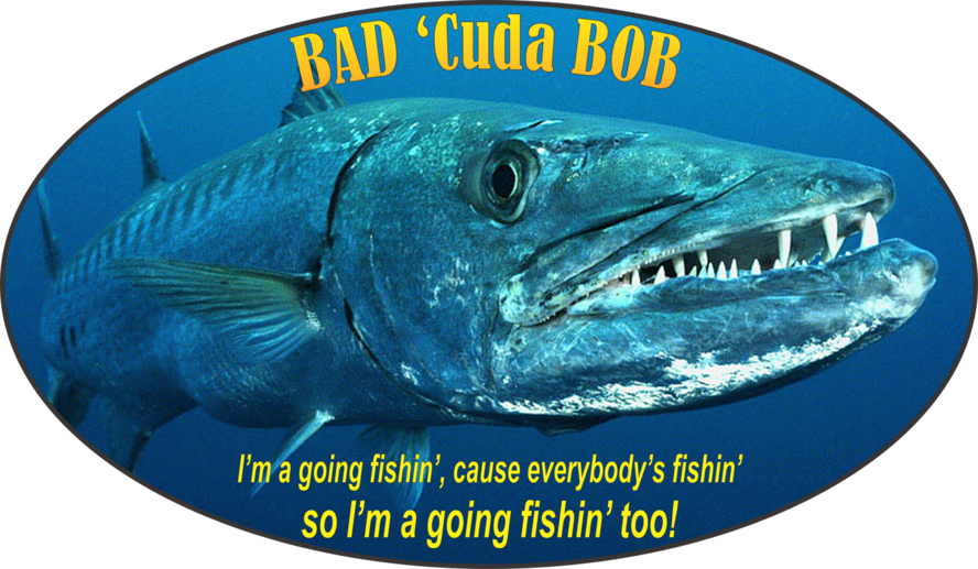 Barracuda Bob's Island Surf & Sports - Bait And Fishing Tackle, Water  Sports Shop, Saltwater Fishing Tackle