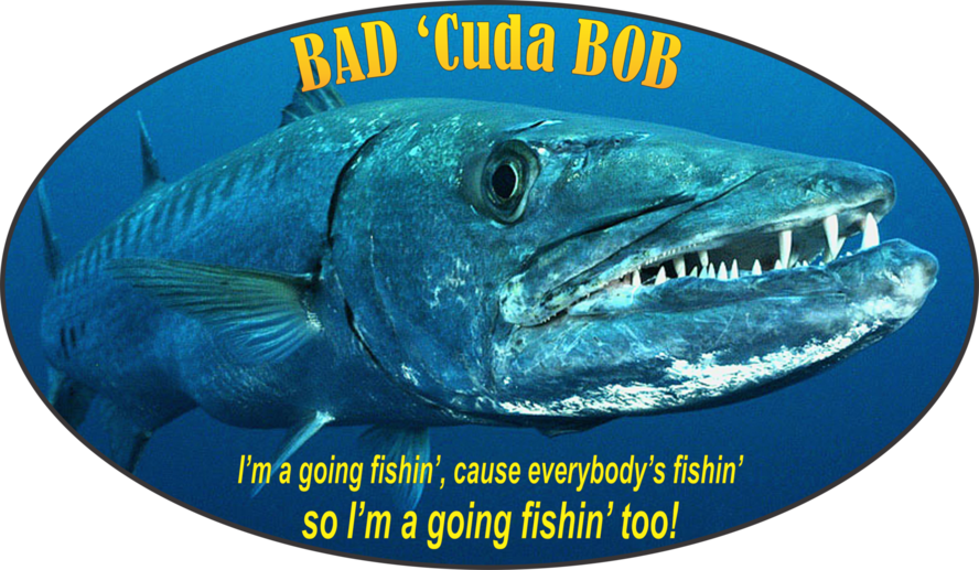 Barracuda Bob's Island Surf & Sports - Bait And Fishing Tackle, Water Sports  Shop, Saltwater Fishing Tackle