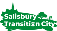 Salisbury transition