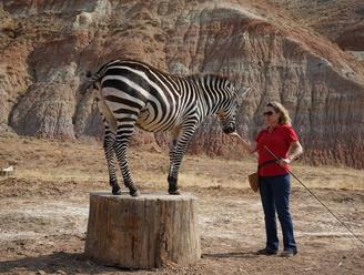 About Animals R Us Petting Zoo