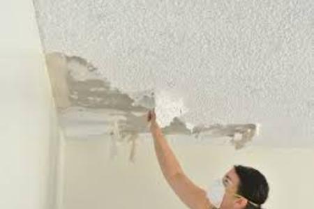 Top-rated Ceiling Removal Ceiling Haul Away Service in Lincoln Nebraska Lnk Junk Removal