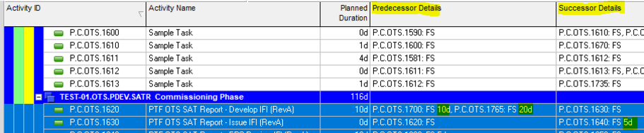 Primavera P6 highlights lag in project schedule