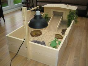 Tortoise 2025 enclosure indoor