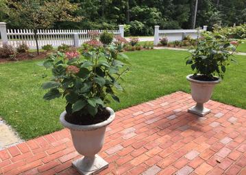 Laura Campbell Landscape Design Services
