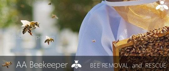San Diego Beekeeper