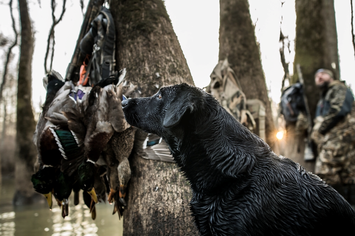 Dirty Rice Outfitters