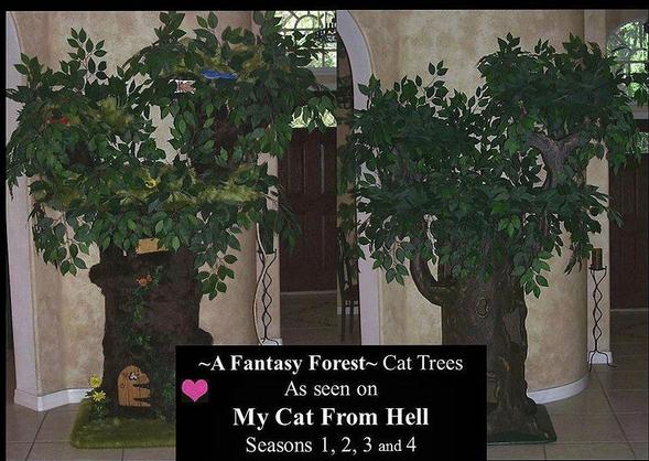 Cat Trees seen on My Cat From Hell