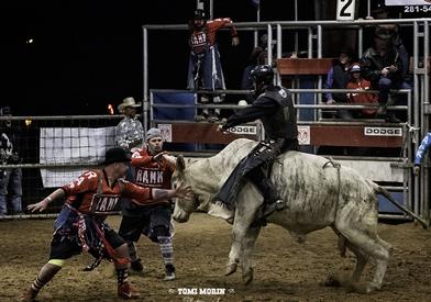 Bull riding outlet hoodies