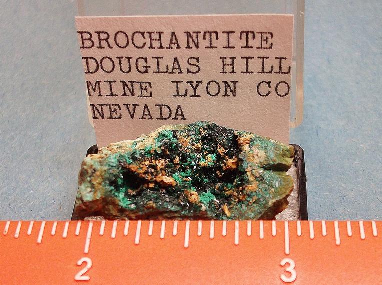 BROCHANTITE crystals Douglas Hill Mine Nevada