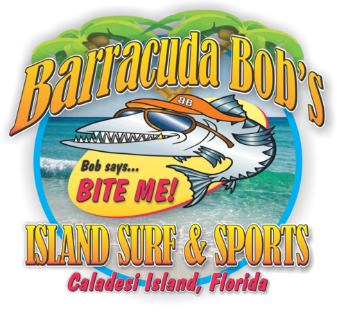 Barracuda Bob S Island Surf Sports Bait And Fishing Tackle Water Sports Shop Saltwater Fishing Tackle