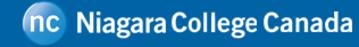 niagara college, minecraft project