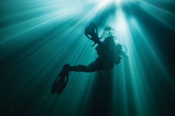 The Devil's Den Florida - The Prehistoric Spring for Snorkeling