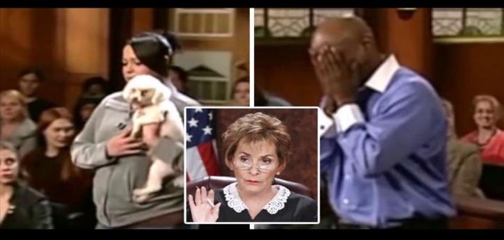 An Emotional judgment by Judge Judy The dog chooses his real owner in court