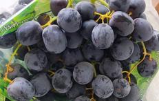 hoa quả nhập khẩu Hà Nội, giỏ hoa quả nhập khẩu Ngọc Châu fruits