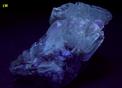 fluorescent phosphorescing BARYTE crystals and GYPSUM ram's horns - Julcani Mine, Julcani District, Angaraes Province, Huancavelica Department, Peru - for sale