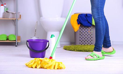 TOILET CLEANING SERVICES FROM RGV Janitorial Services