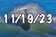 wedge pictures November 19 Dingo 2023 surfing sunset skimboarding bodyboarding wave waves
