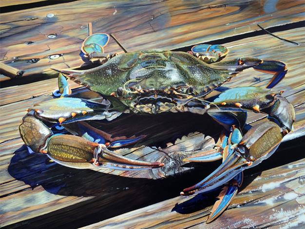 Blue Claw Crab