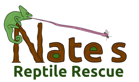 Fish and outlet reptiles near me