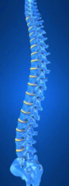 Yardley, PA Chiropractor for Chiropractic Care - Local Chiropractor near me in Yardley, PA