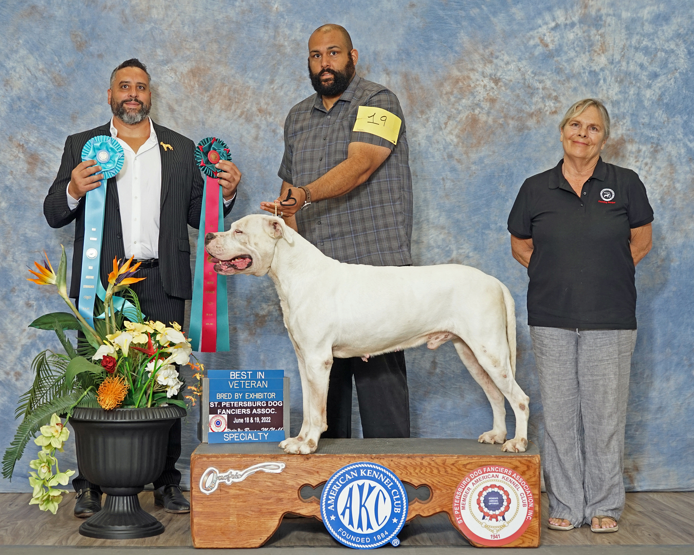 Dogs on the World Stage: Dogo Argentino