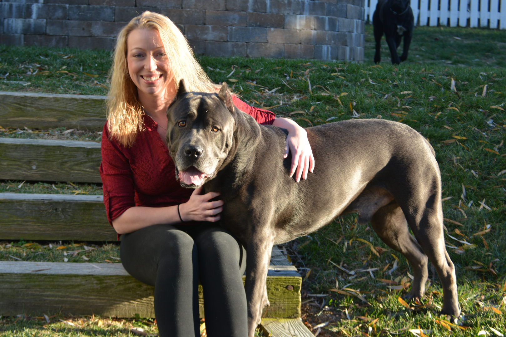 Apple valley cane store corso