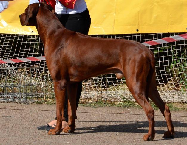 Salomon ridgeback hotsell