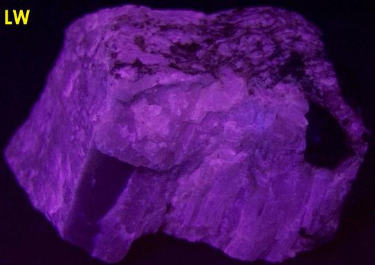 Pink SW LW fluorescing Agrellite, Eudialyte, Britholite-(Ce) crystals,Amphibole, Kipawa alkaline complex, Les Lacs-du-Temiscamingue, Temiscamingue RCM, Abitibi-Temiscamingue, Quebec, Canada
