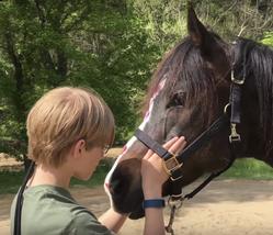 Colby's Army photo of a young teen connecting with a bay horse