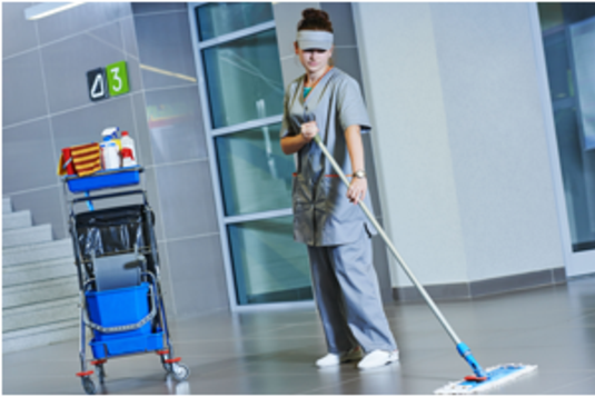 GOVERNMENT BUILDING CLEANING SERVICES FROM MGM Household Services