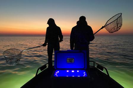 Florida Crabbing Charters