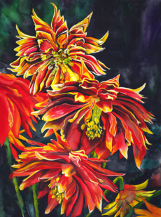 Double Dahlias, Limited Edition Giclee, Tracy Harris Artist, Watercolors