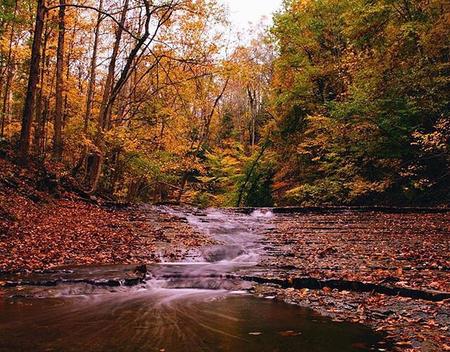 Hike the Brandywine Gorge Loop (U.S. National Park Service)