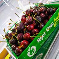 Cherry New Zealand bán tại Hà Nội