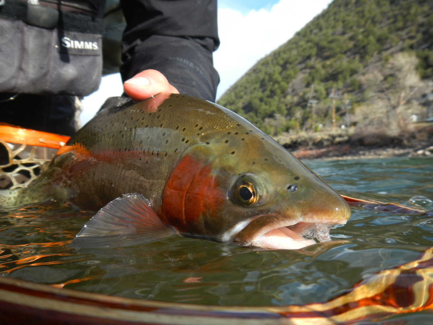 Meet the Harcourt Fly Fishing Guides - Glenwood Springs, CO Fly