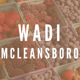 WADI McLeansboro