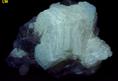 fluorescent SW LW Witherite, fluorite, calcite, sphalerite, Minerva No. 1 Mine, Ozark-Mahoning Group, Cave-in-Rock Sub-District, Illinois Kentucky Fluorspar District, Hardin County, Illinois