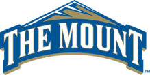 Mount Saint Mary's logo