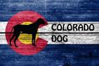 Colorado Dog